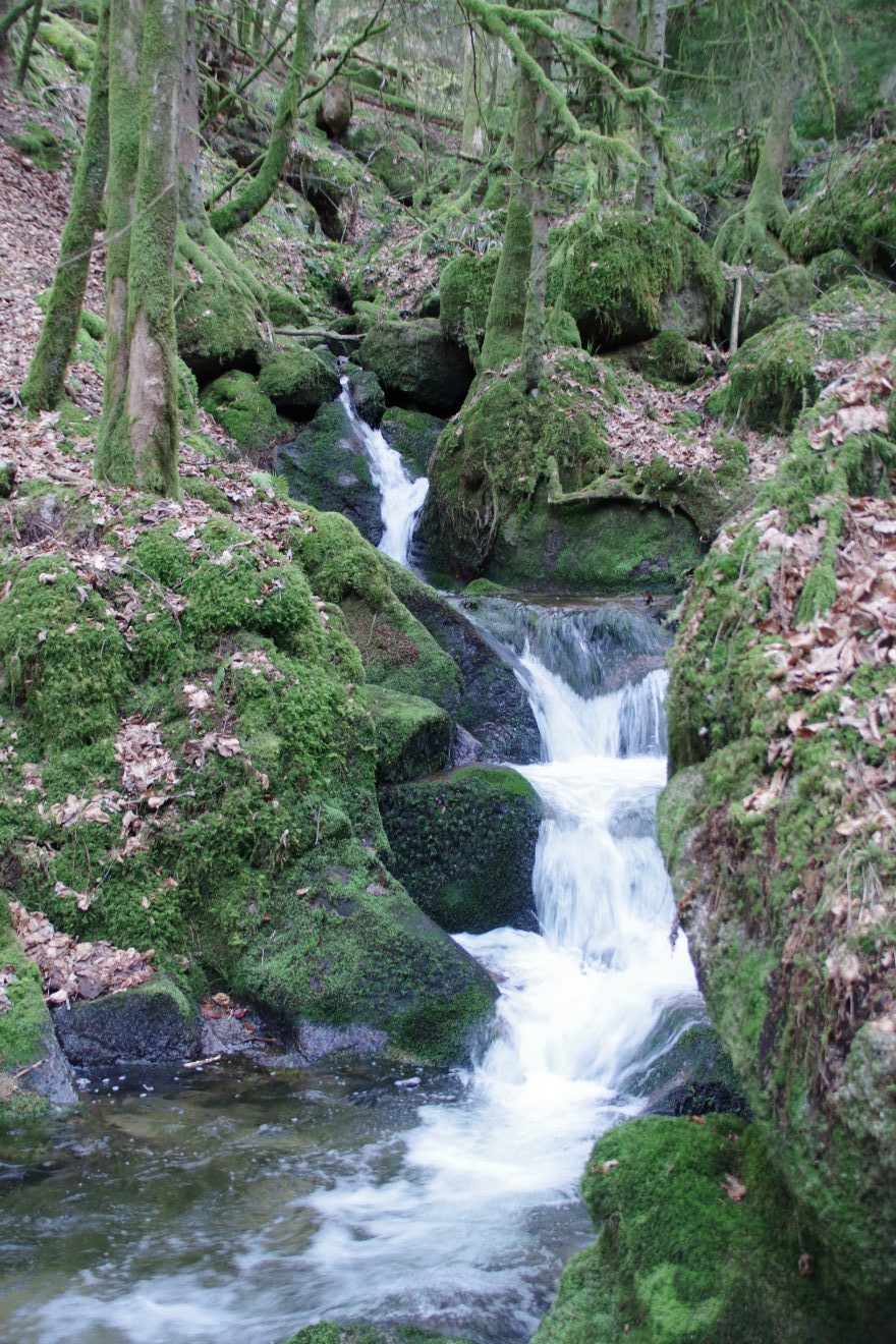 NaTour Gertelbachschlucht Bühlertal