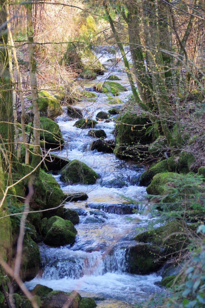 NaTour Gertelbachschlucht Bühlertal