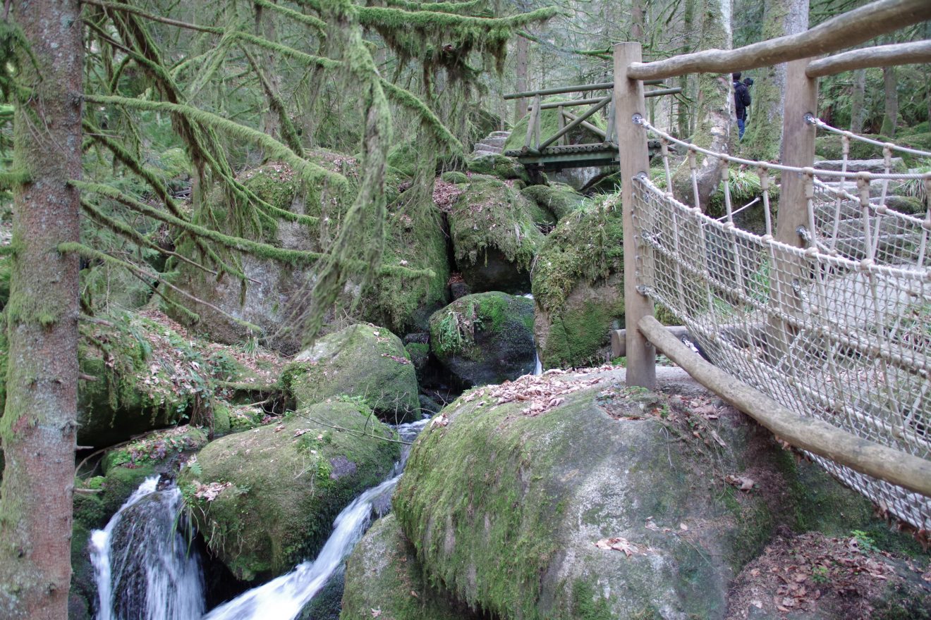 NaTour Gertelbachschlucht Bühlertal