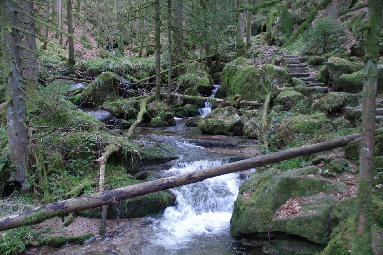 NaTour Gertelbachschlucht Bühlertal