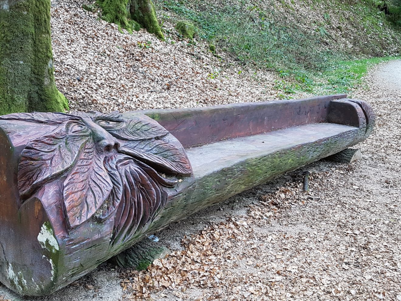 NaTour Gertelbachschlucht Bühlertal