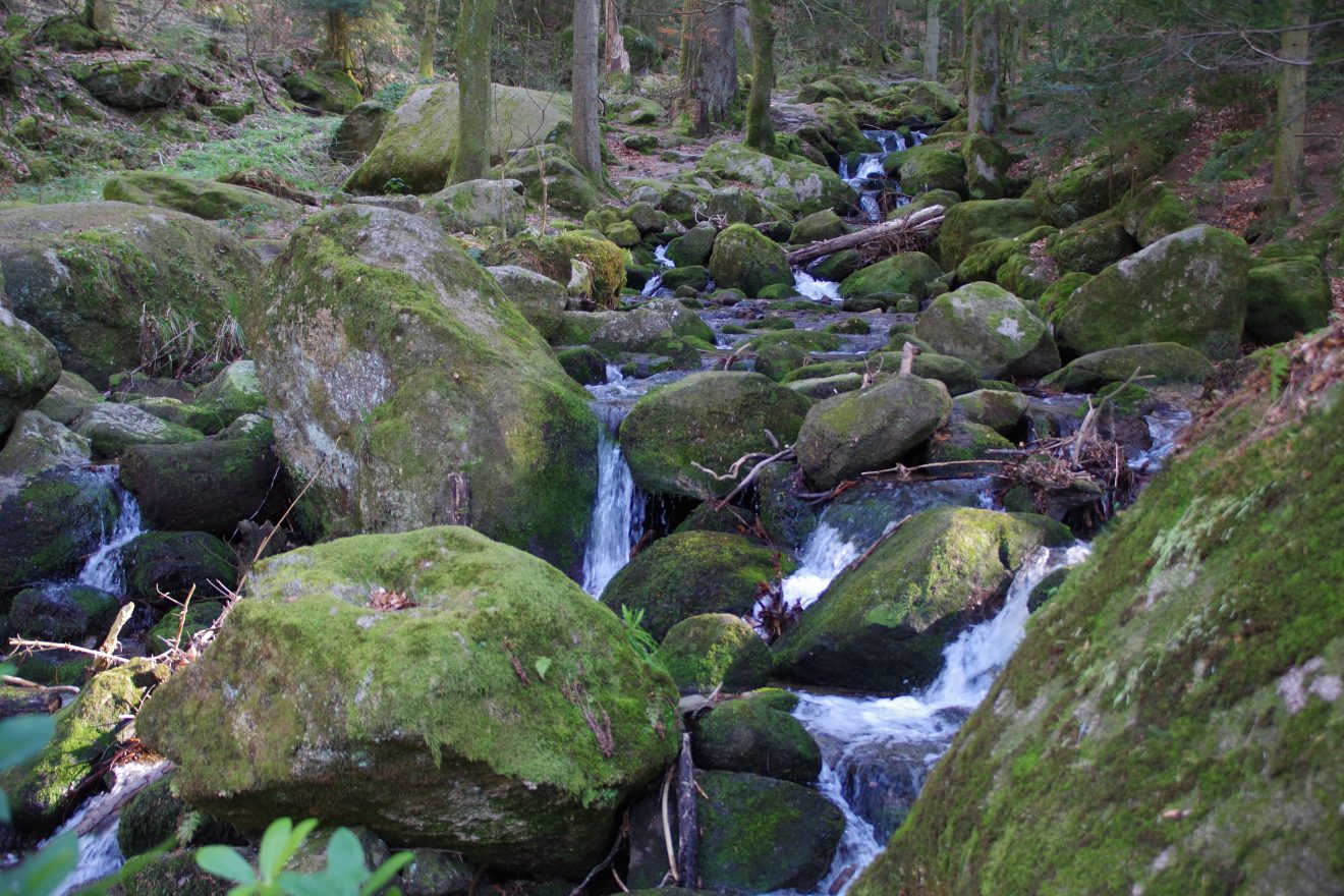 NaTour Gertelbachschlucht Bühlertal