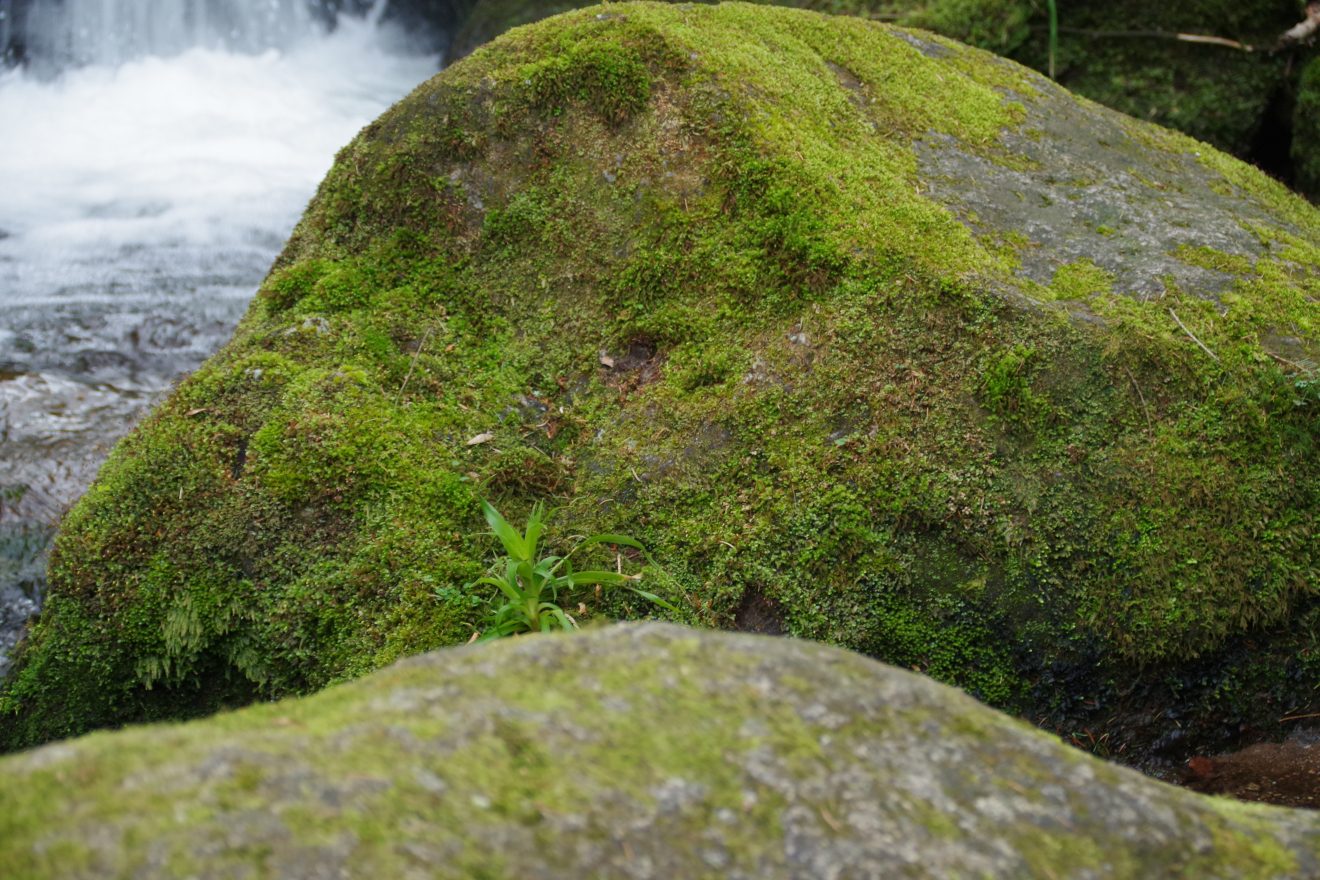 NaTour Gertelbachschlucht Bühlertal