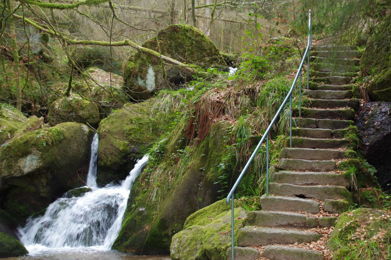 NaTour Gertelbachschlucht Bühlertal