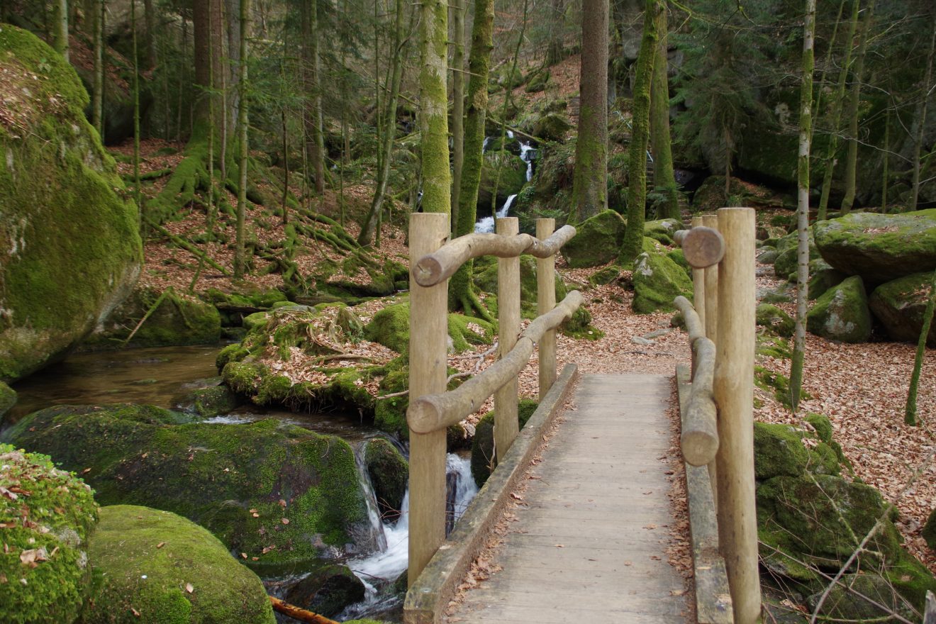 NaTour Gertelbachschlucht Bühlertal