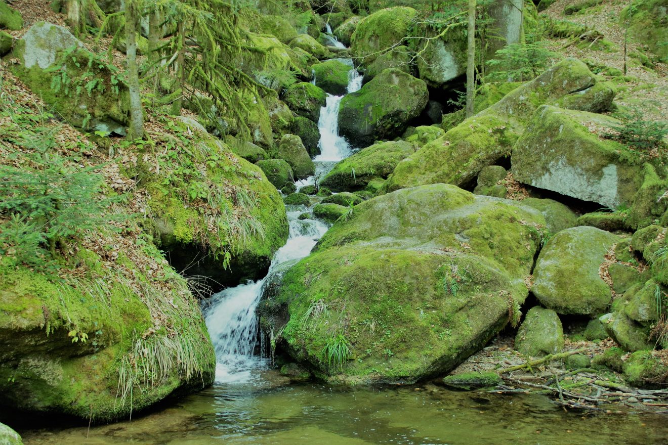NaTour Gertelbachschlucht Bühlertal