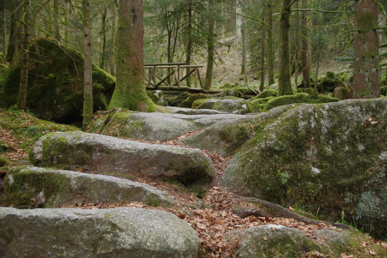 NaTour Gertelbachschlucht Bühlertal