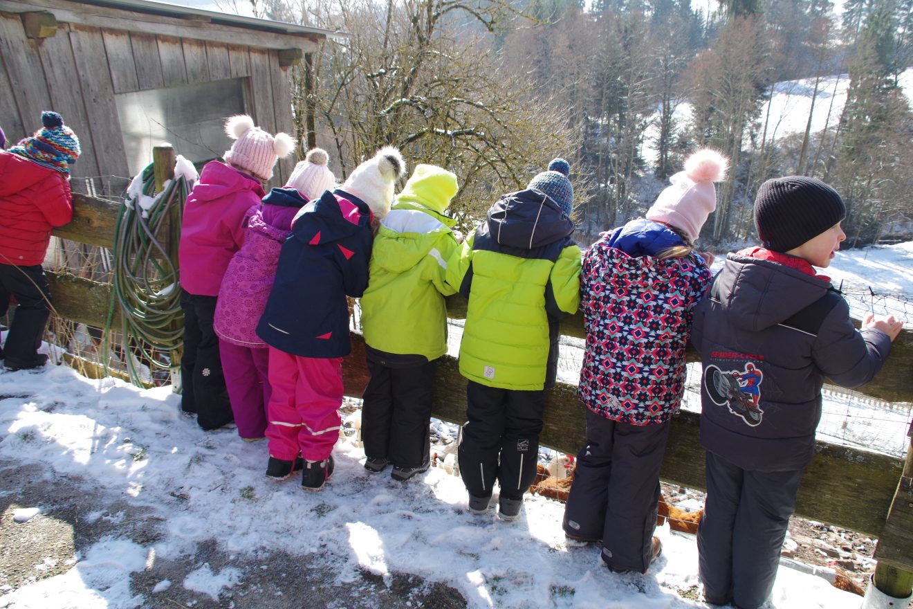 Auftakt Muh die Kuh auf dem Hinter-Jörgenhof in Baiersbronn