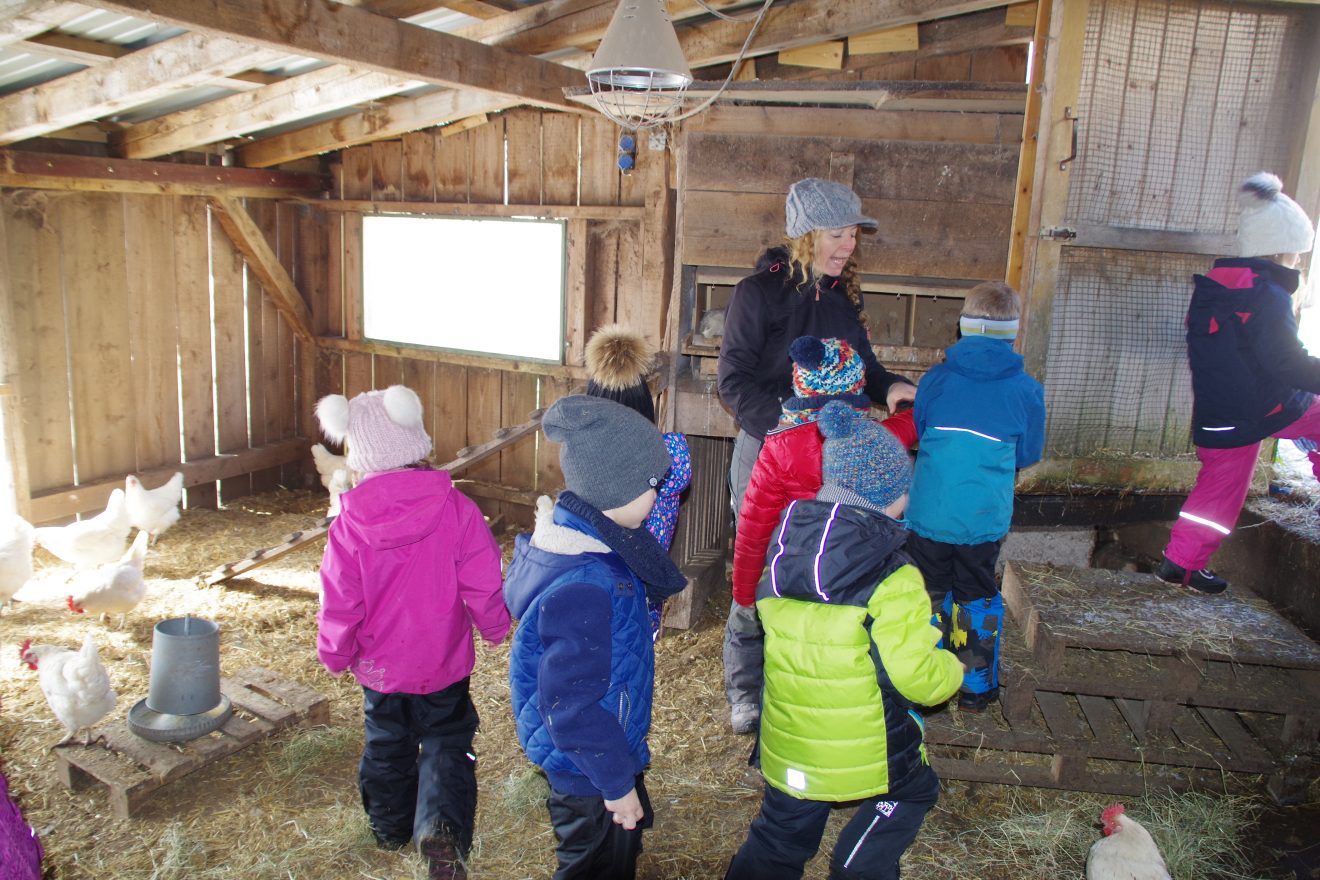 Auftakt Muh die Kuh in Baiersbronn auf dem Hinter-Jörgenhof