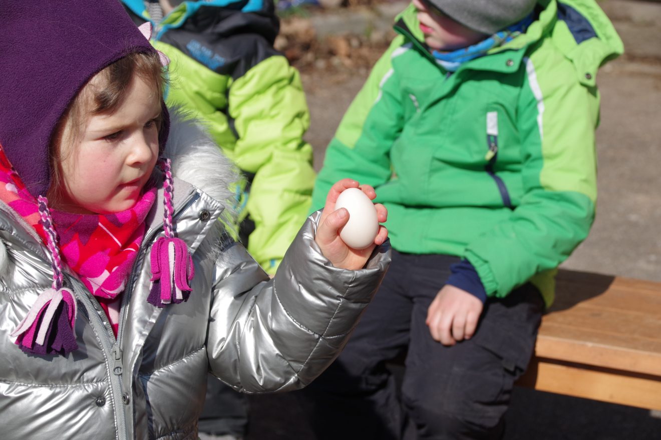 Auftakt Muh die Kuh in Baiersbronn auf dem Hinter-Jörgenhof