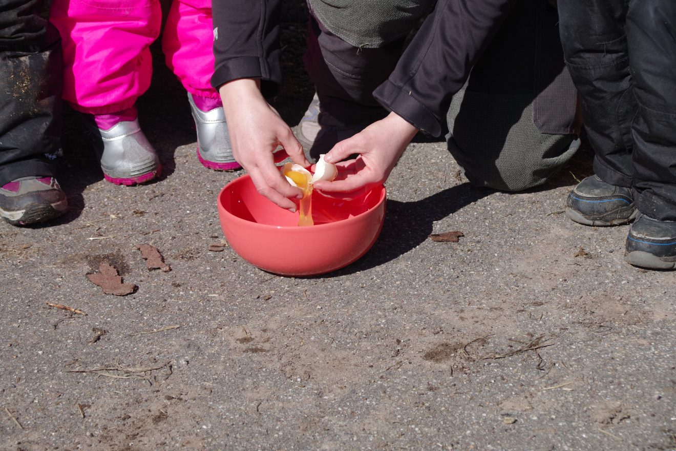 Auftakt Muh die Kuh in Baiersbronn auf dem Hinter-Jörgenhof