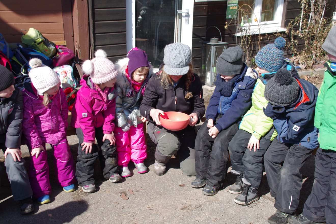 Auftakt Muh die Kuh in Baiersbronn auf dem Hinter-Jörgenhof