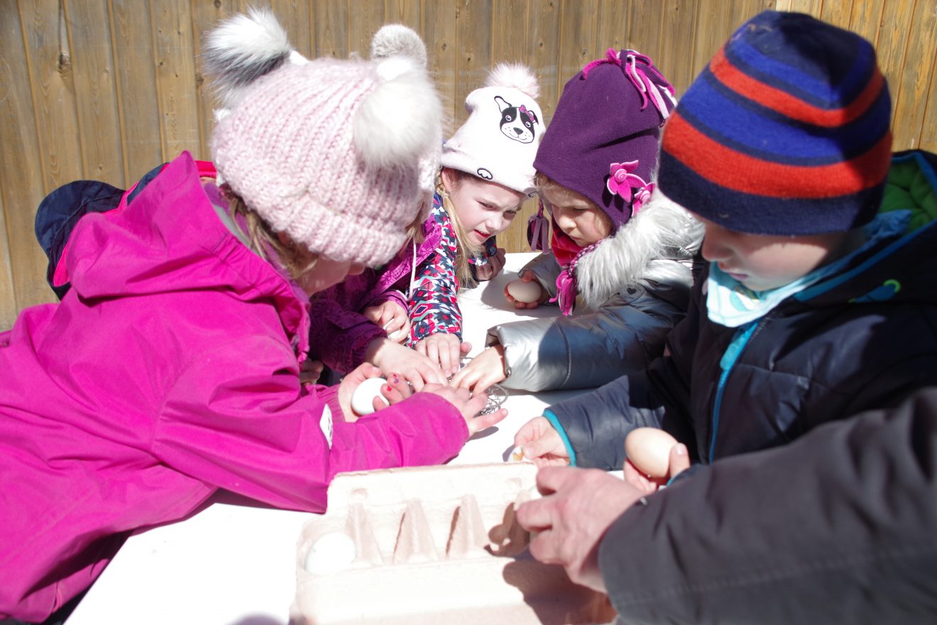 Auftakt Muh die Kuh in Baiersbronn auf dem Hinter-Jörgenhof