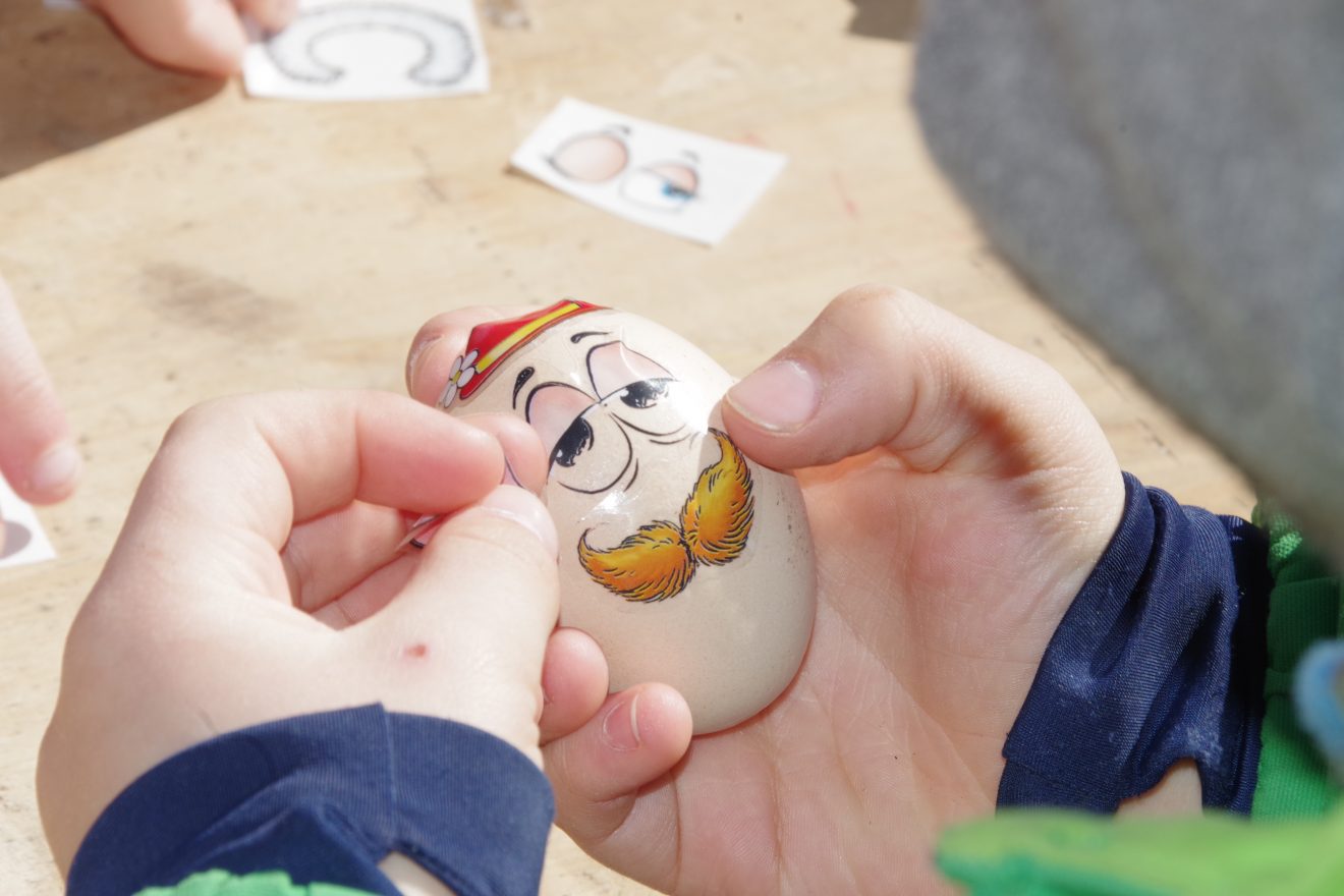 Auftakt Muh die Kuh in Baiersbronn auf dem Hinter-Jörgenhof