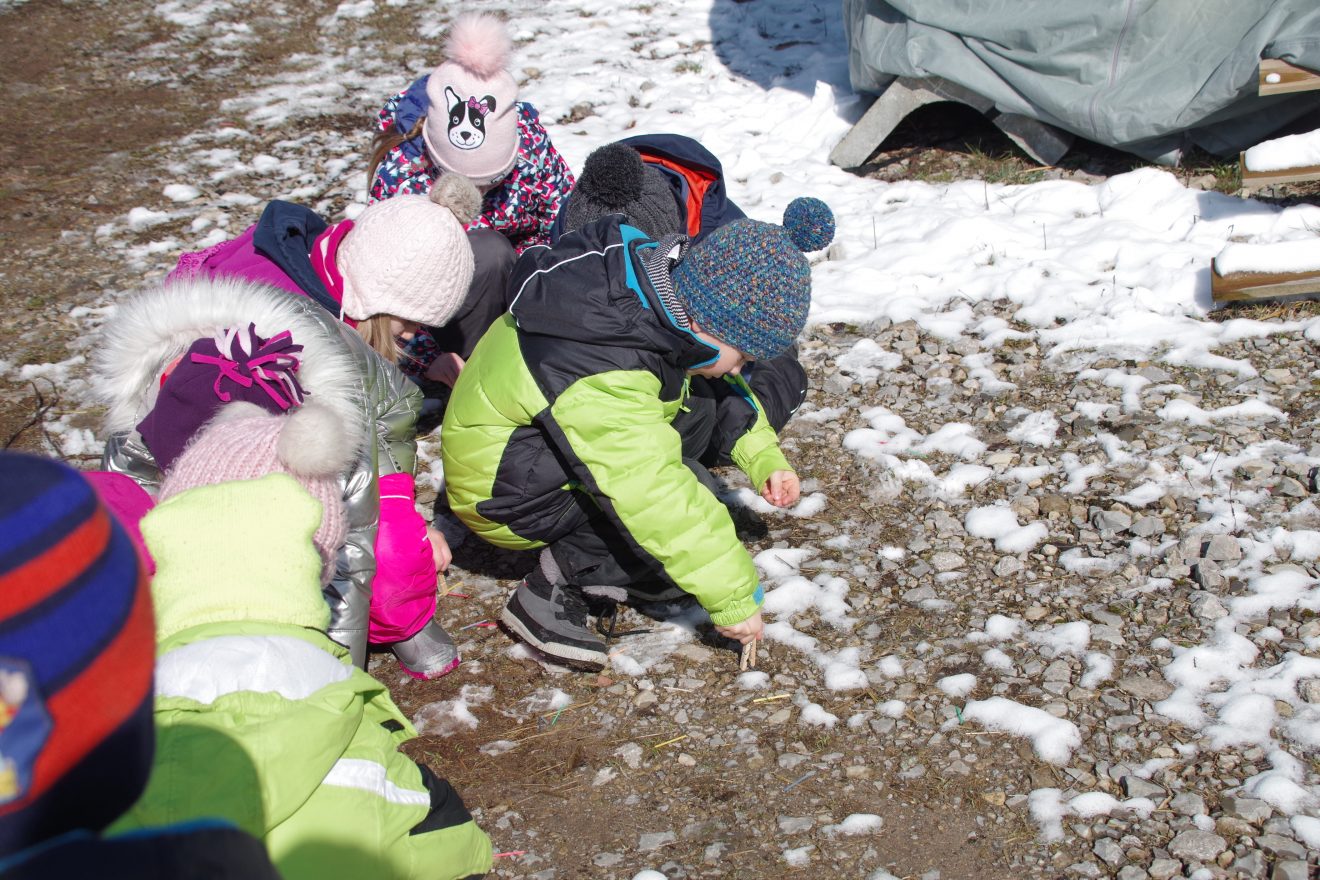 Auftakt Muh die Kuh in Baiersbronn auf dem Hinter-Jörgenhof