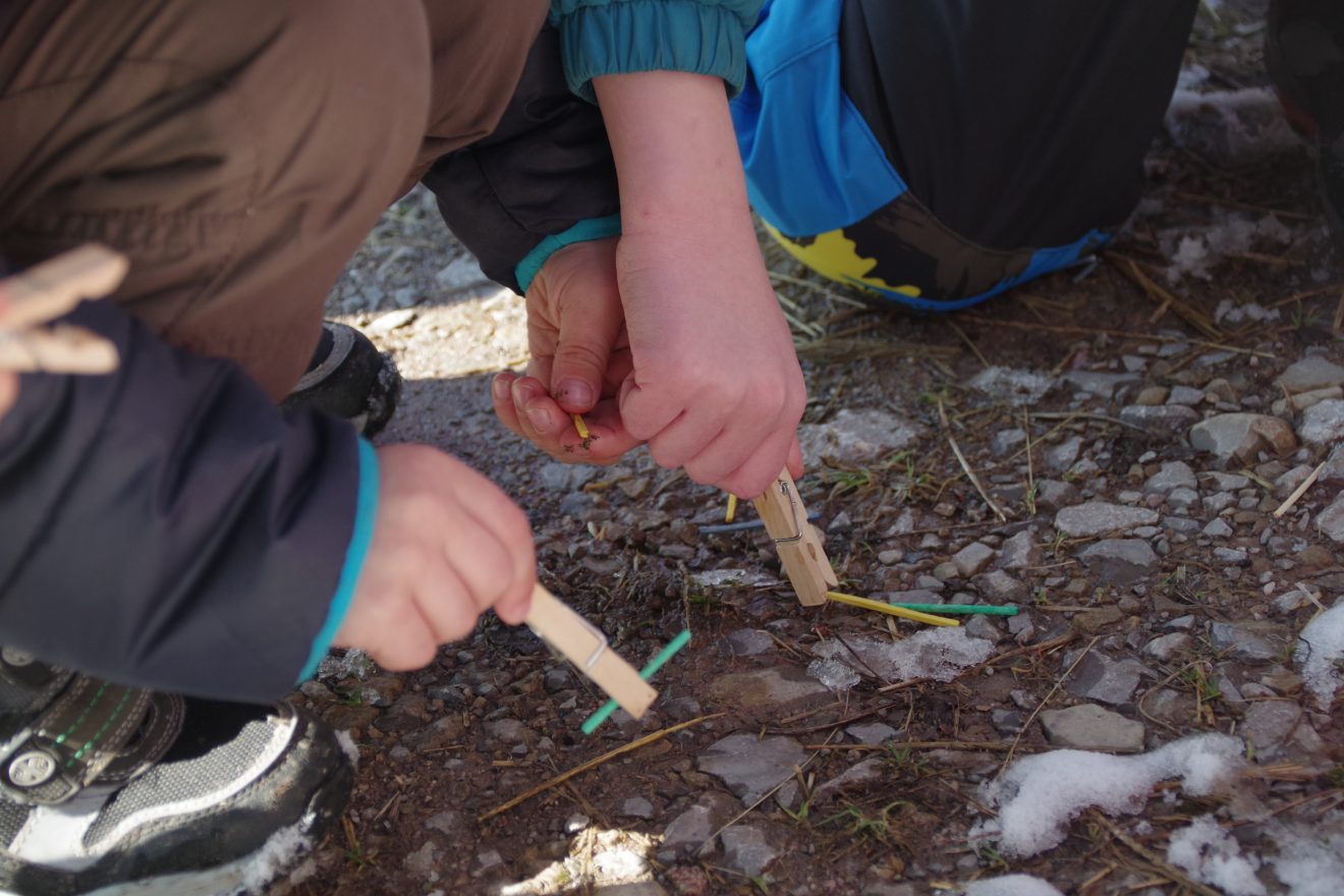 Auftakt Muh die Kuh in Baiersbronn auf dem Hinter-Jörgenhof