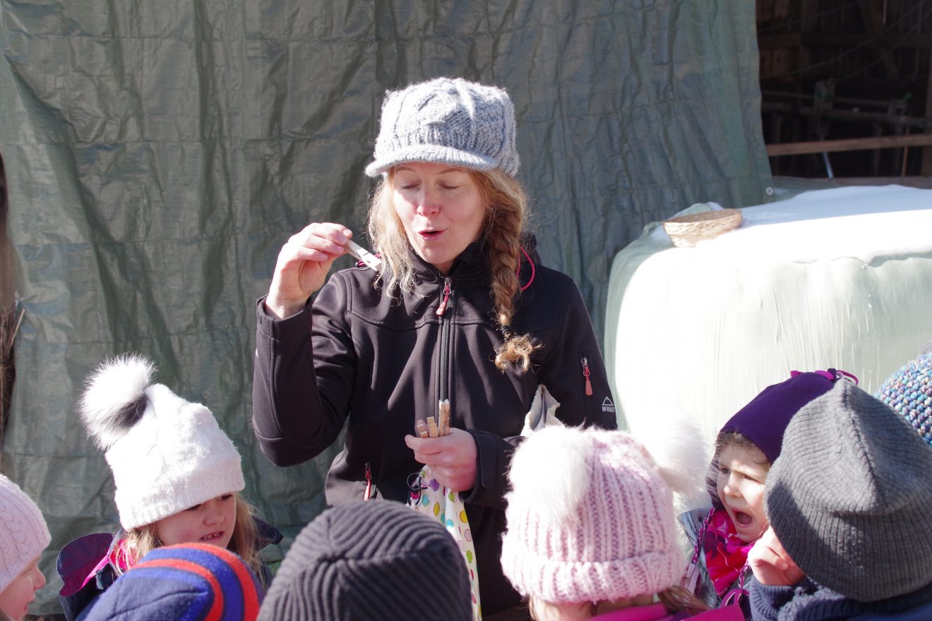 Auftakt Muh die Kuh in Baiersbronn auf dem Hinter-Jörgenhof