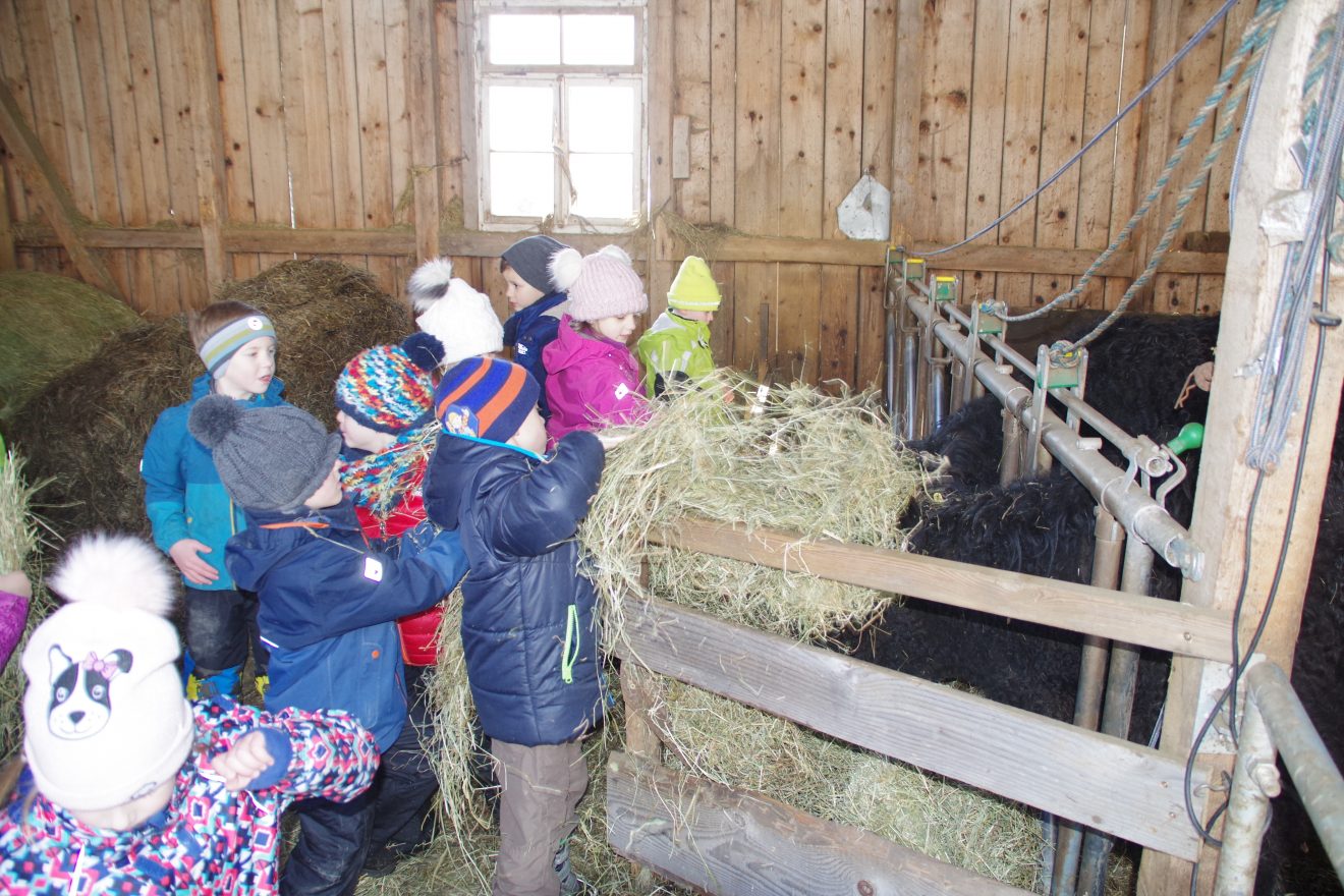 Auftakt Muh die Kuh in Baiersbronn auf dem Hinter-Jörgenhof