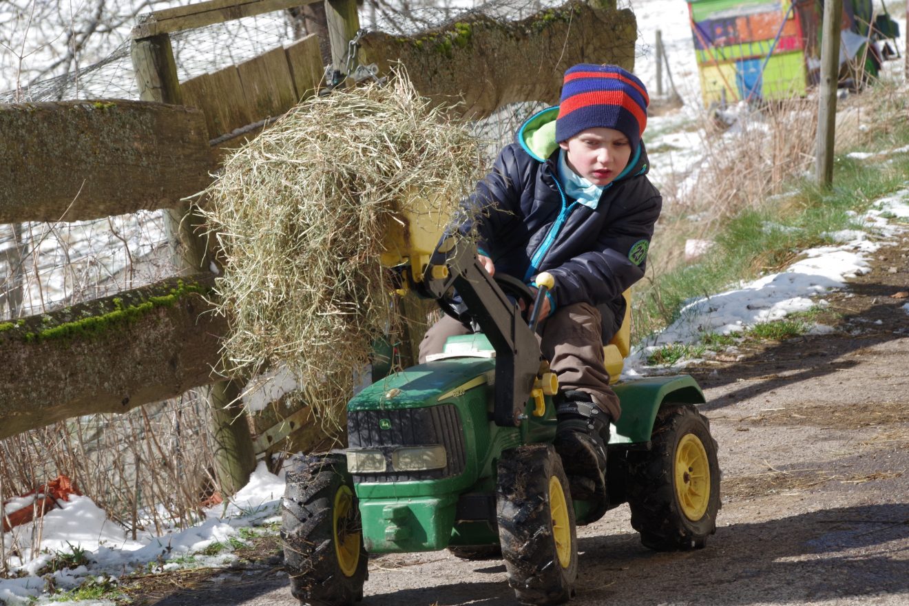 Auftakt Muh die Kuh in Baiersbronn auf dem Hinter-Jörgenhof