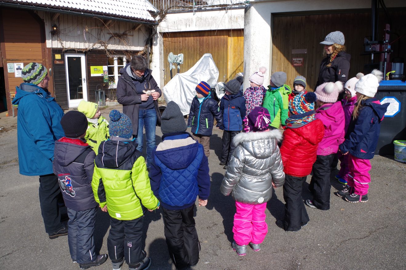 Auftakt Muh die Kuh auf dem Hinter-Jörgenhof in Baiersbronn