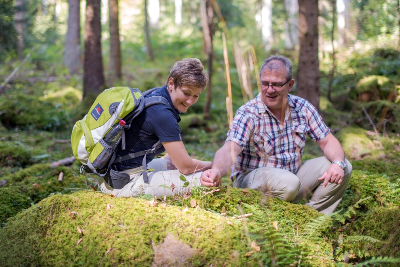 Premiumwanderweg und Genießerpfad "Der Teinacher"