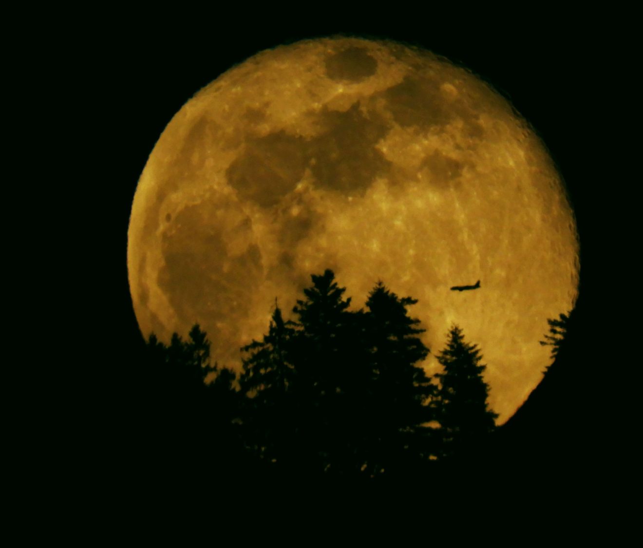 Fünf Fragen an Schwarzwald-Guide Rainer Schulz