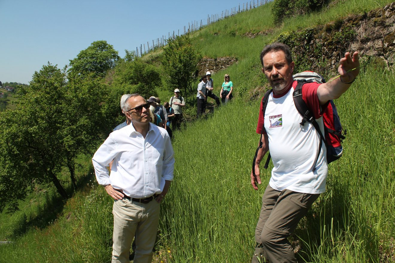 Naturpark-Schwarzwald-Blog_Wandern-und-Geniessen-auf-dem-Engelsberg