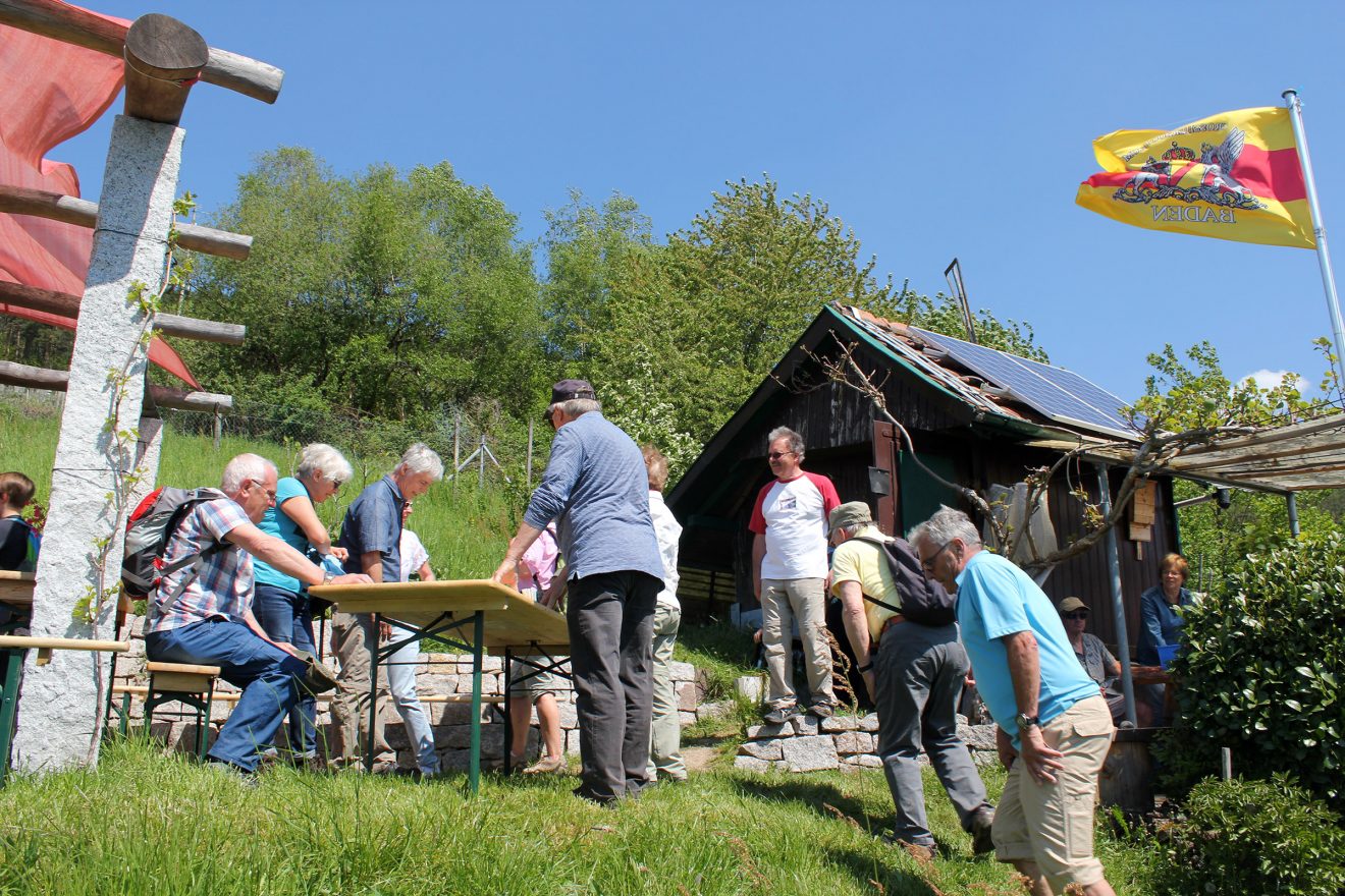 Naturpark-Schwarzwald-Blog_Wandern-und-Geniessen-auf-dem-Engelsberg