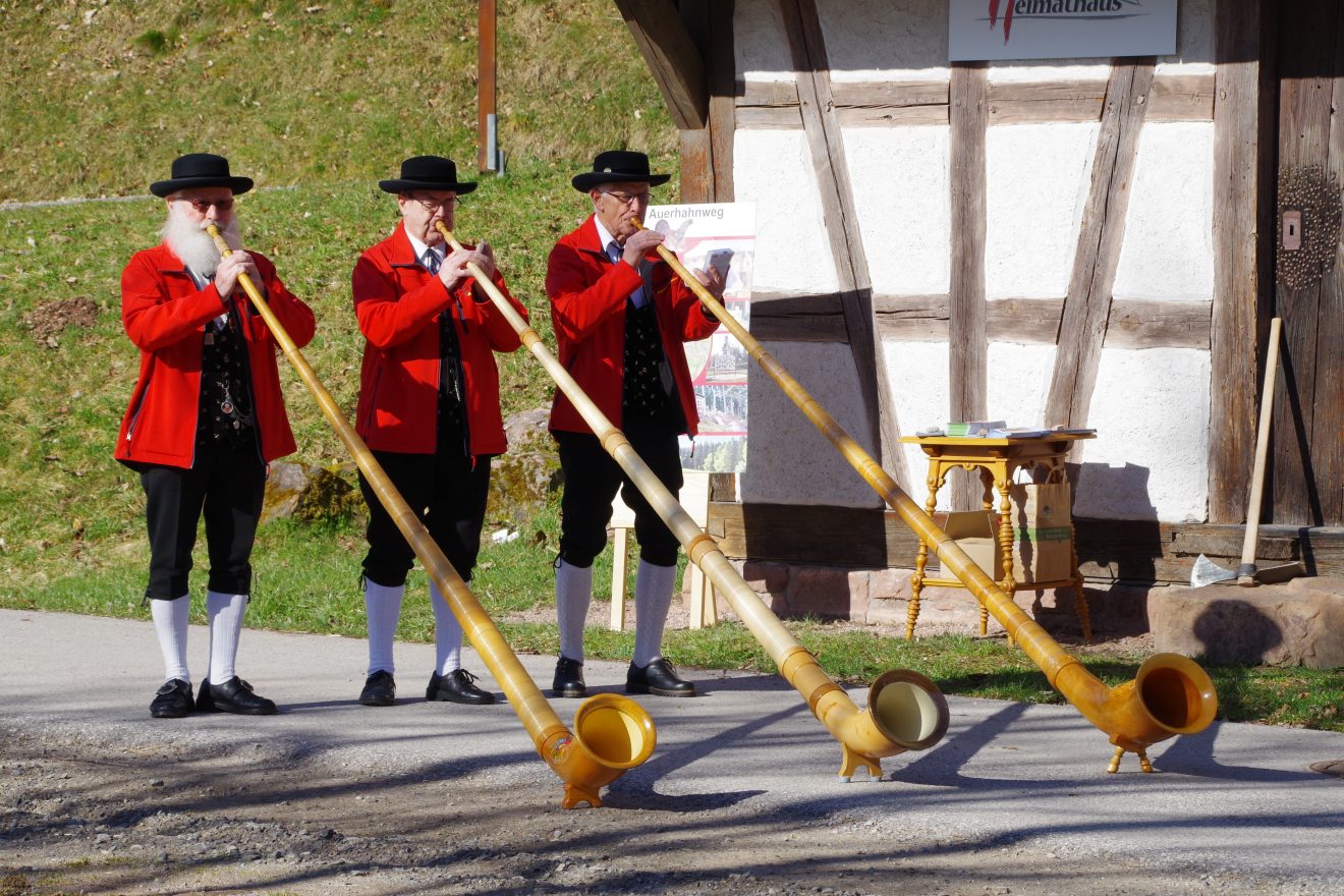 Auerhahnweg in Schramberg-Tennenbronn