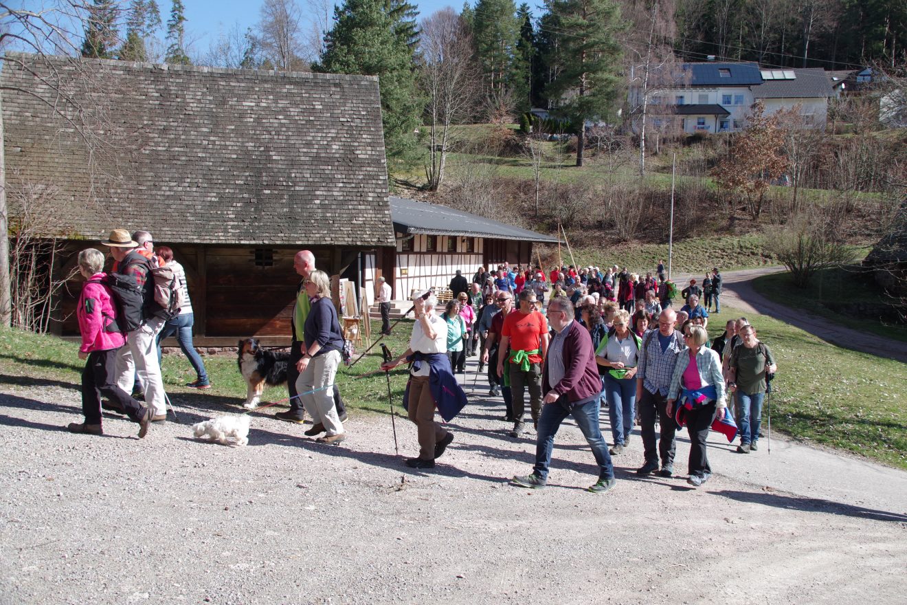 Auerhahnweg in Schramberg-Tennenbronn