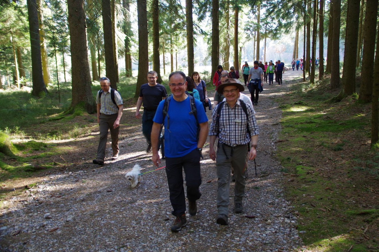 Auerhahnweg in Schramberg-Tennenbronn