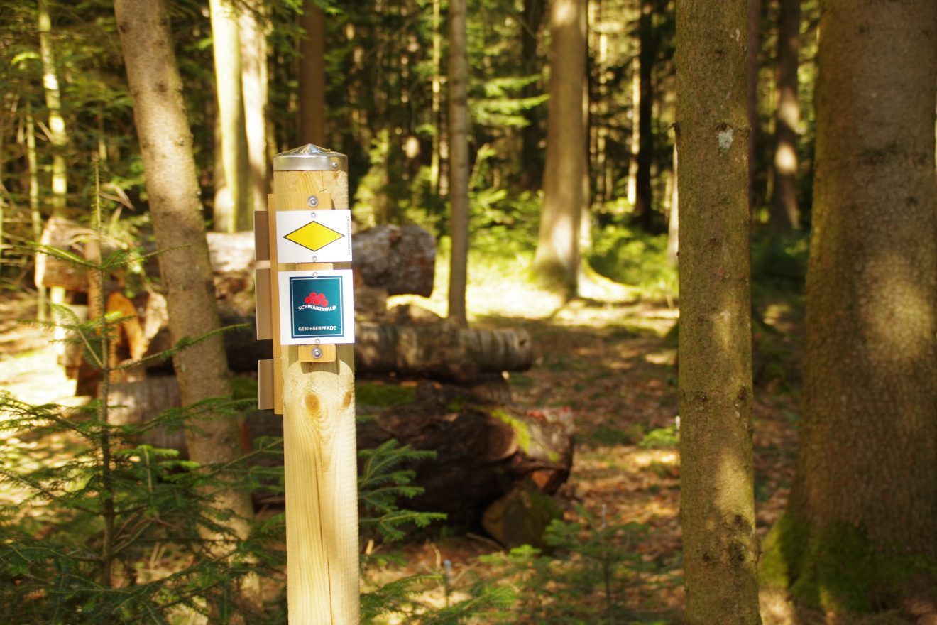 Auerhahnweg in Schramberg-Tennenbronn