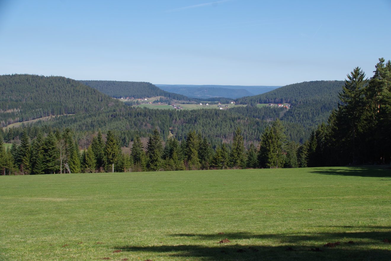 Auerhahnweg in Schramberg-Tennenbronn