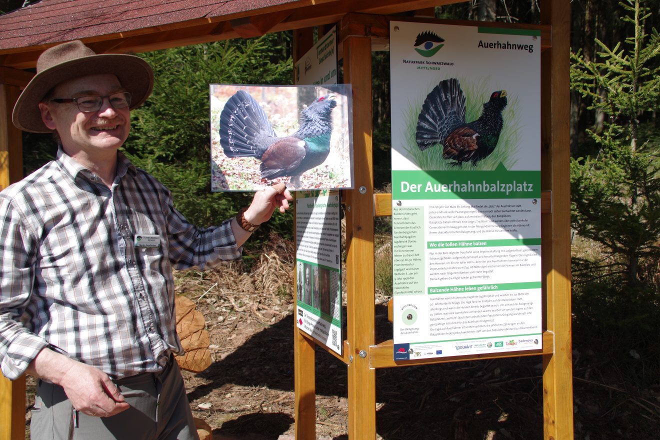 Auerhahnweg in Schramberg-Tennenbronn
