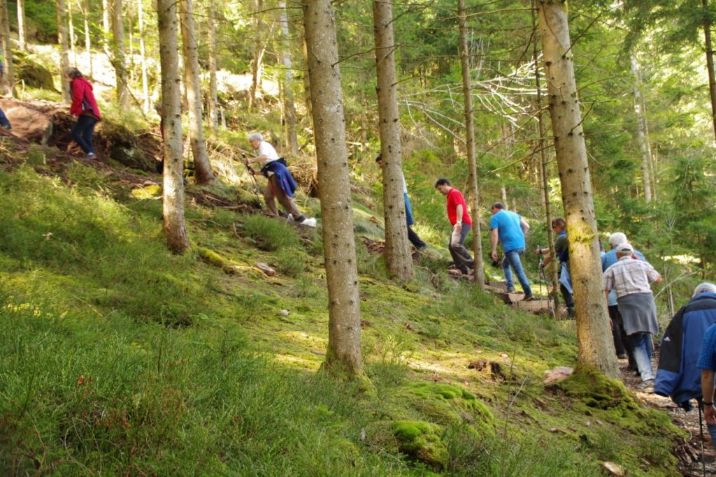 Auerhahnweg in Schramberg-Tennenbronn