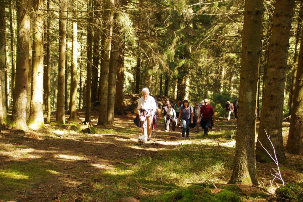 Auerhahnweg in Schramberg-Tennenbronn