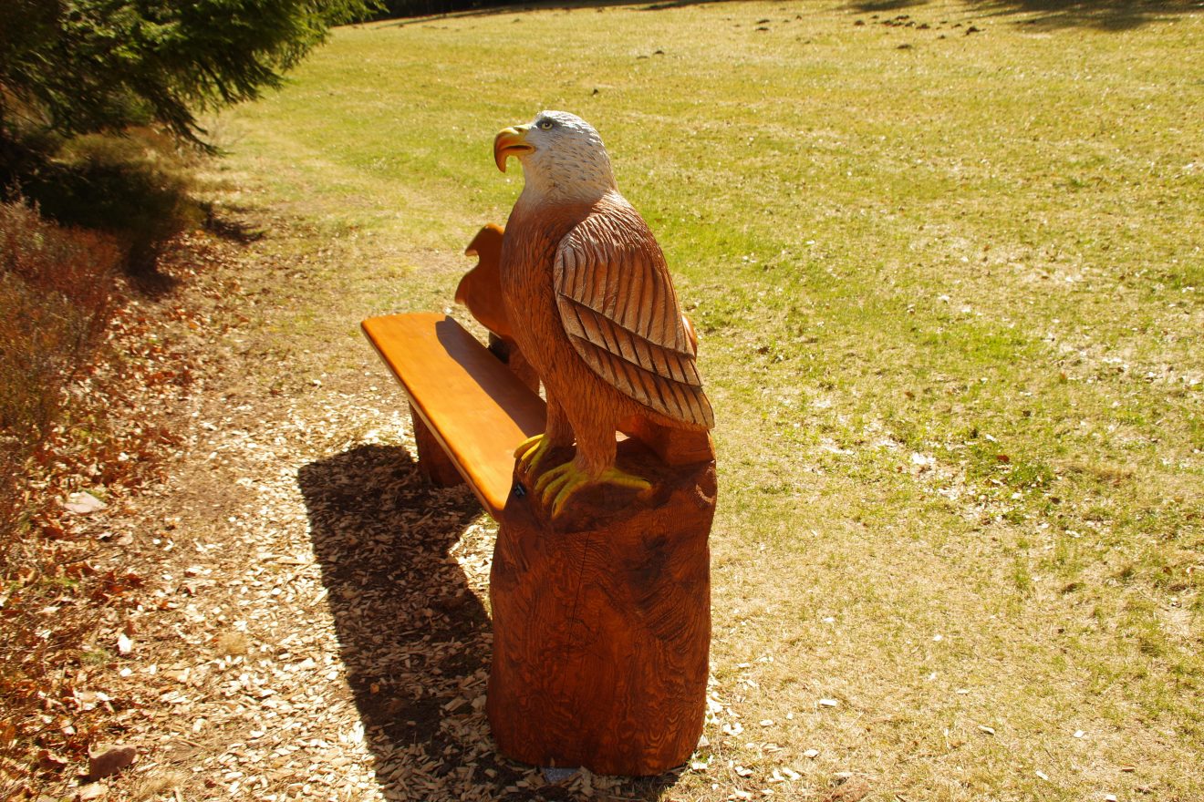 Auerhahnweg in Schramberg-Tennenbronn