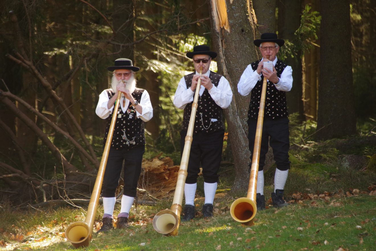 Auerhahnweg in Schramberg-Tennenbronn