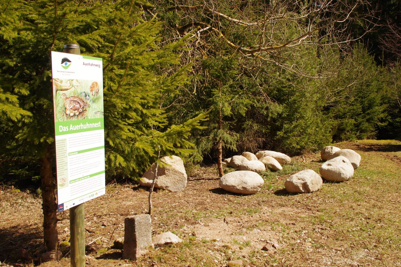 Auerhahnweg in Schramberg-Tennenbronn