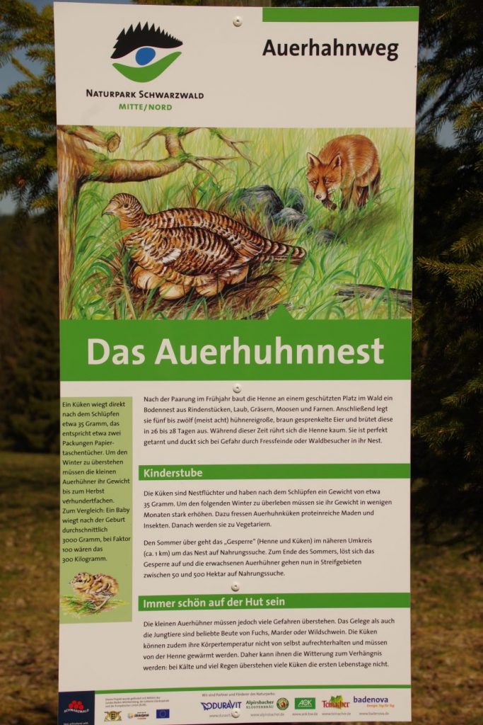 Auerhahnweg in Schramberg-Tennenbronn