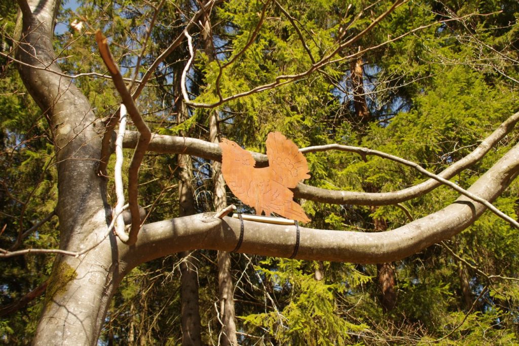 Auerhahnweg in Schramberg-Tennenbronn