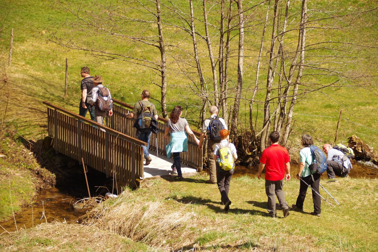 Auerhahnweg in Schramberg-Tennenbronn