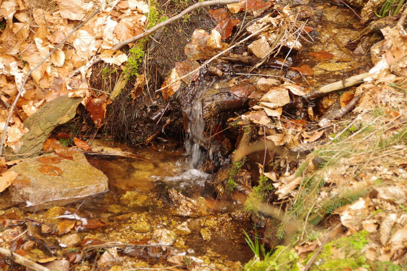 Trekking-Wochenende mit Christoph Maretzek