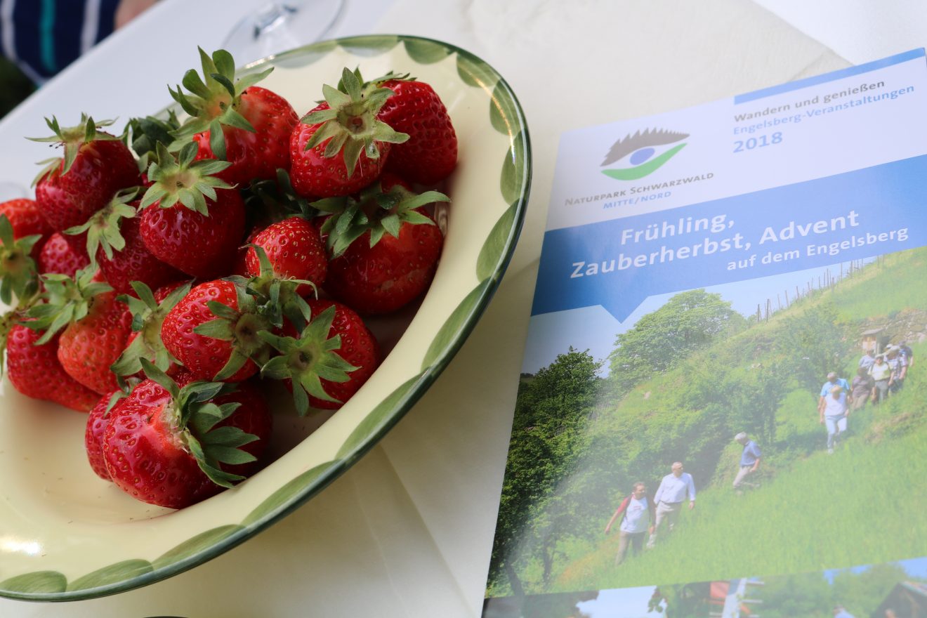 Wandern und Genießen auf dem Engelsberg