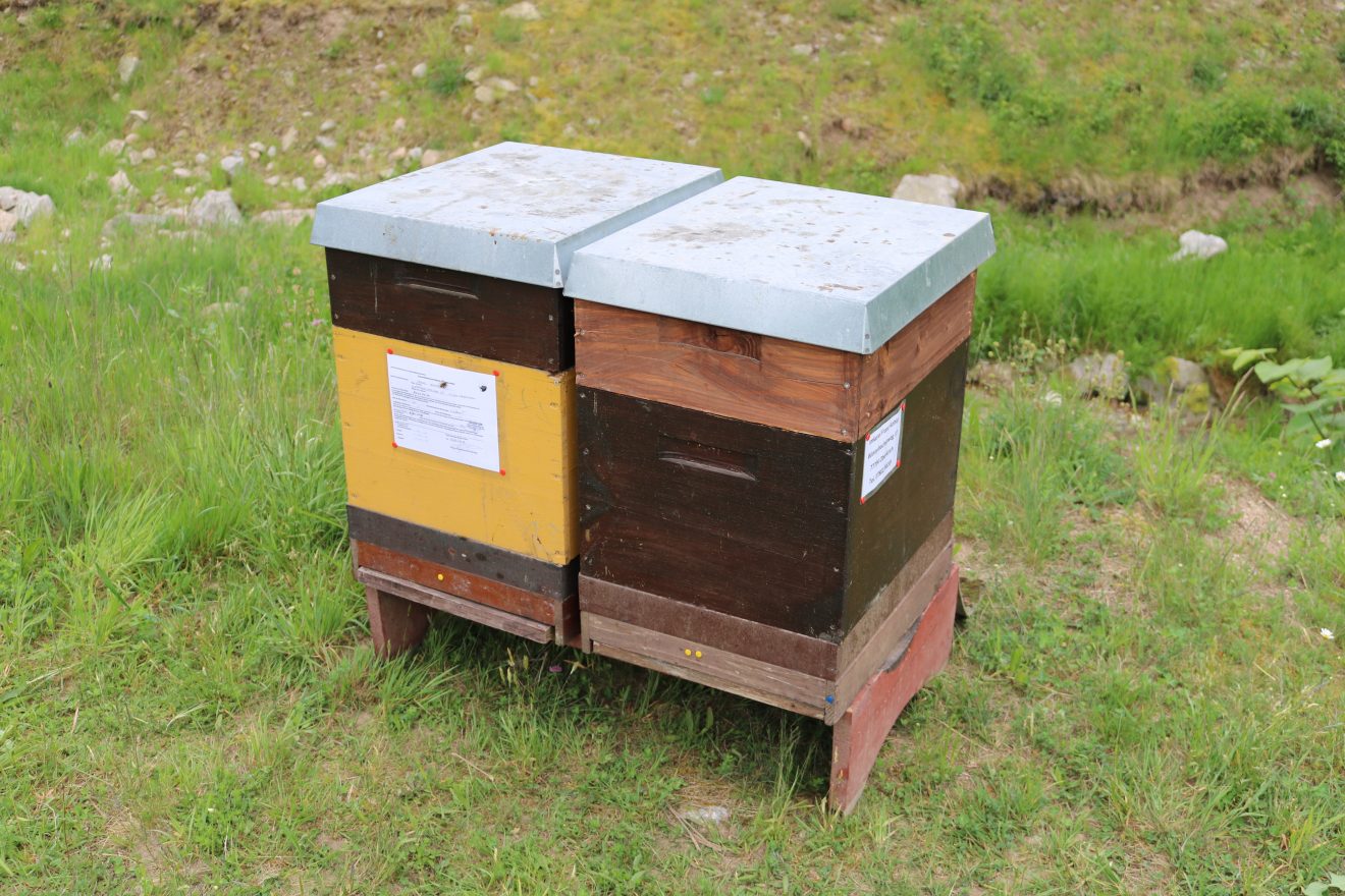 Aussaat Blühender Naturpark Lautenbach mit 100 Kindern