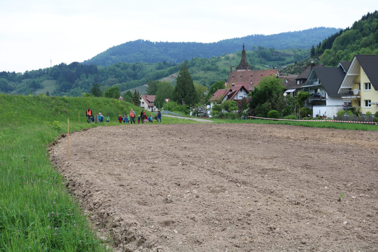 Aussaat Blühender Naturpark Lautenbach mit 100 Kindern