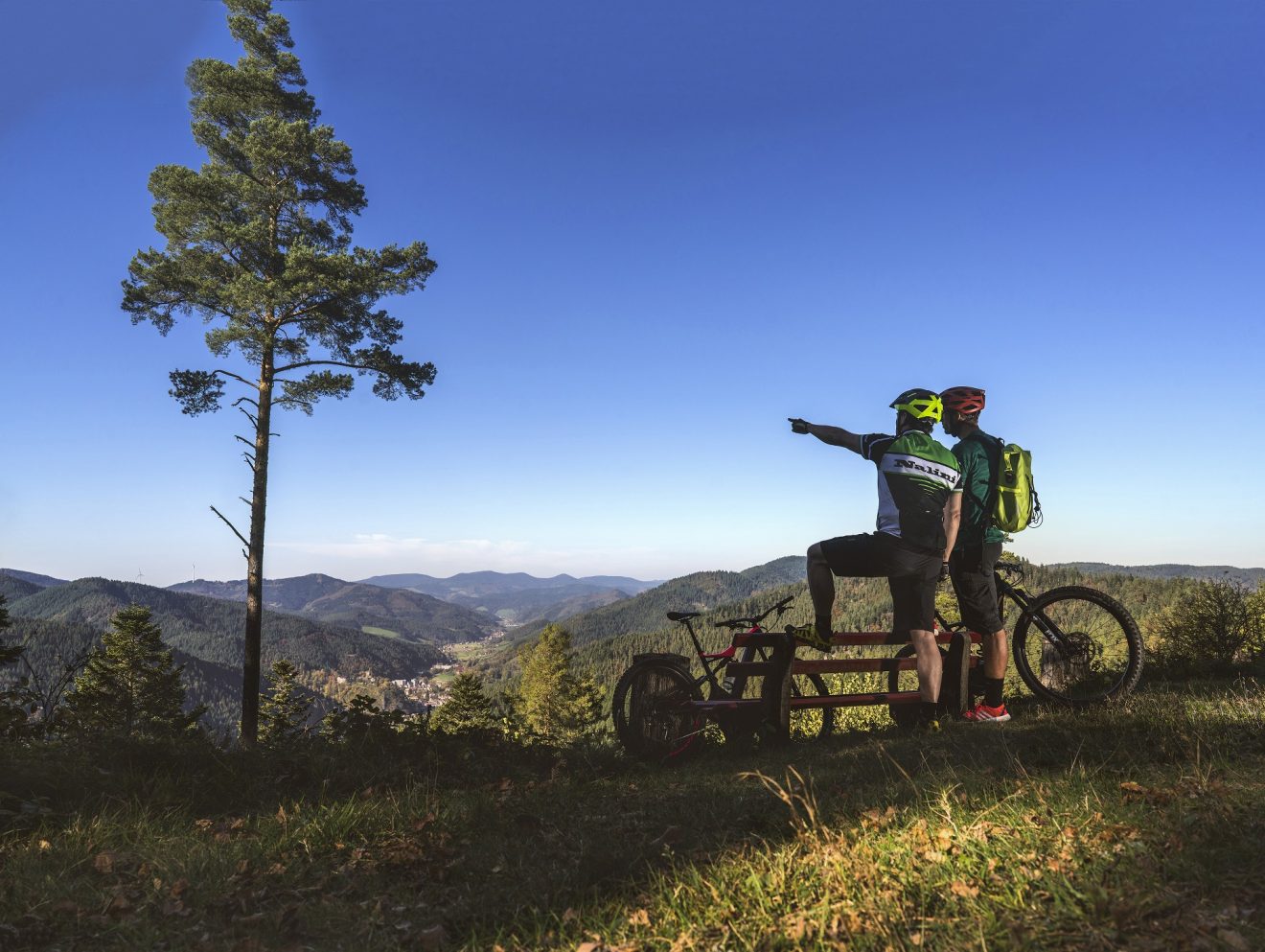 Mountainbike Felsentrail Hornberg