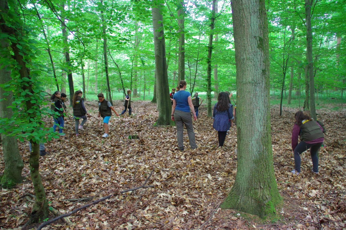 Mit Entdeckerwesten den Waldboden erforschen.
