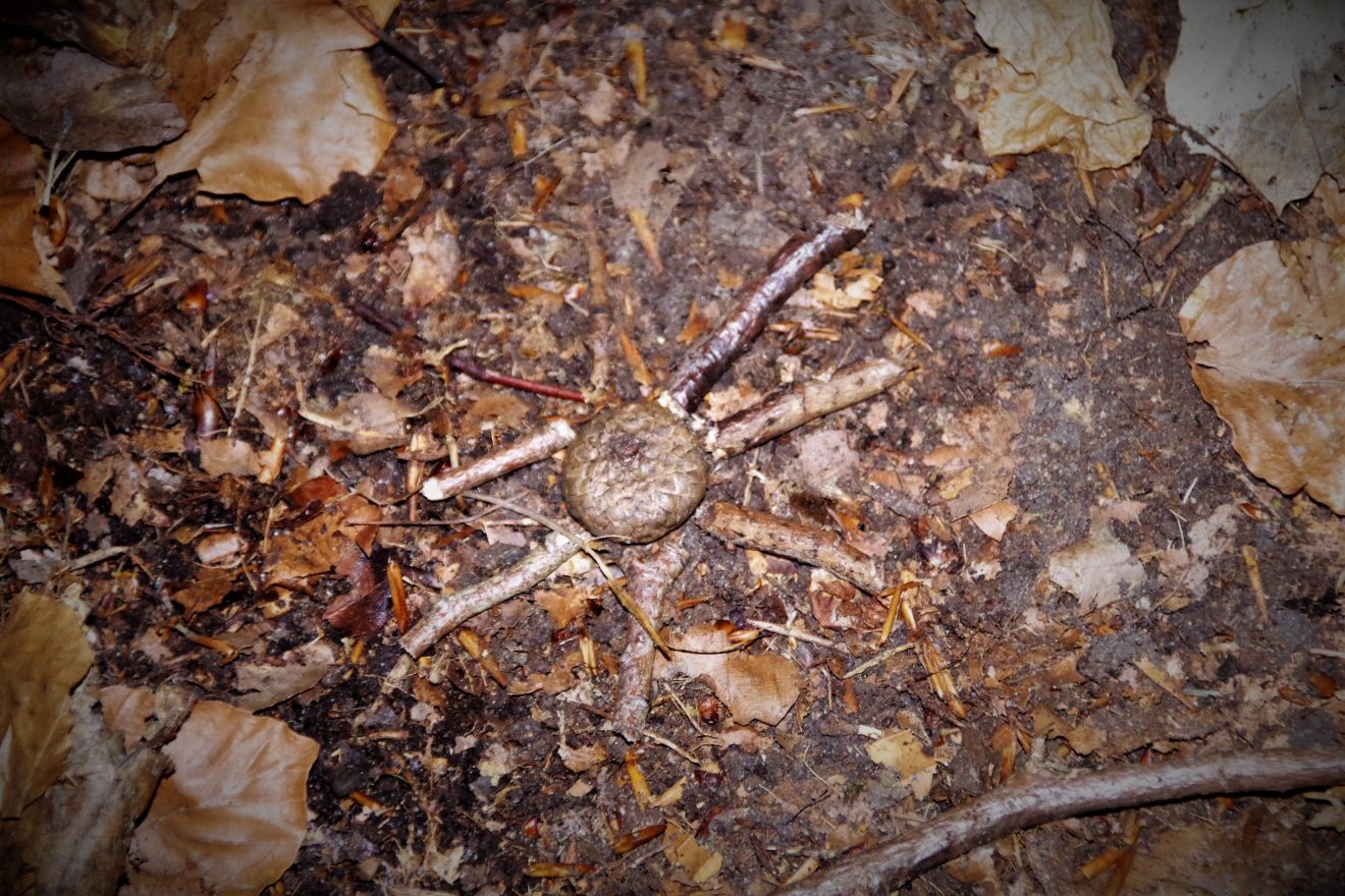 Mit Entdeckerwesten den Waldboden erforschen.