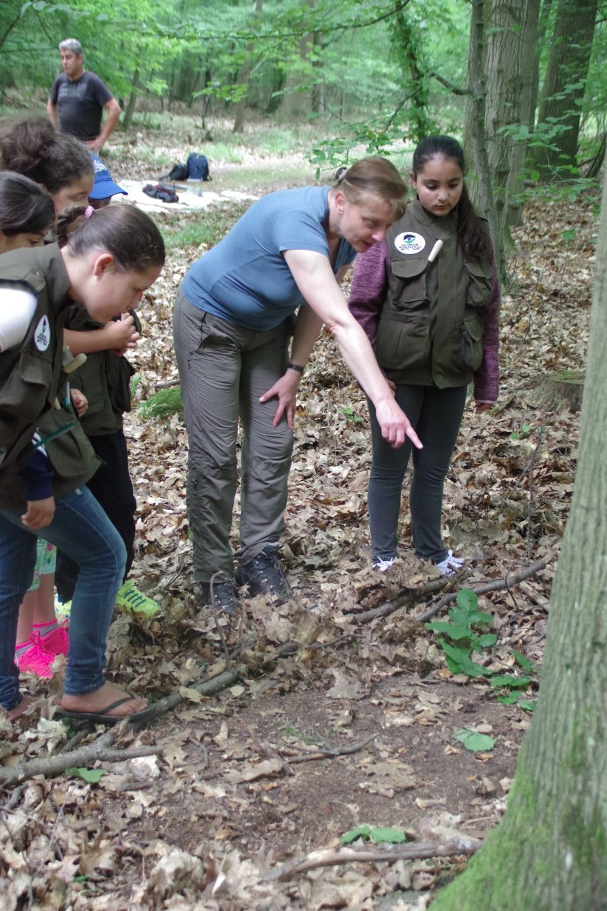 Mit Entdeckerwesten den Waldboden erforschen.
